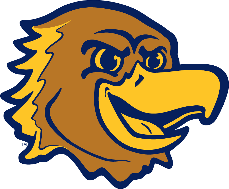 Marquette Golden Eagles 2020-Pres Mascot Logo t shirts iron on transfers